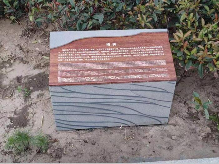 榮聯科技